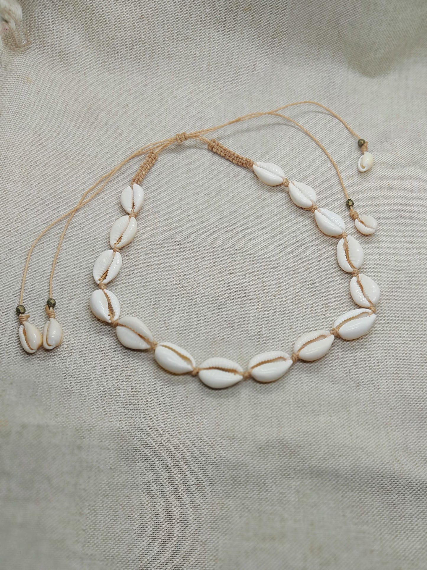 girocollo conchiglie di ciprea beige sfondo cactus