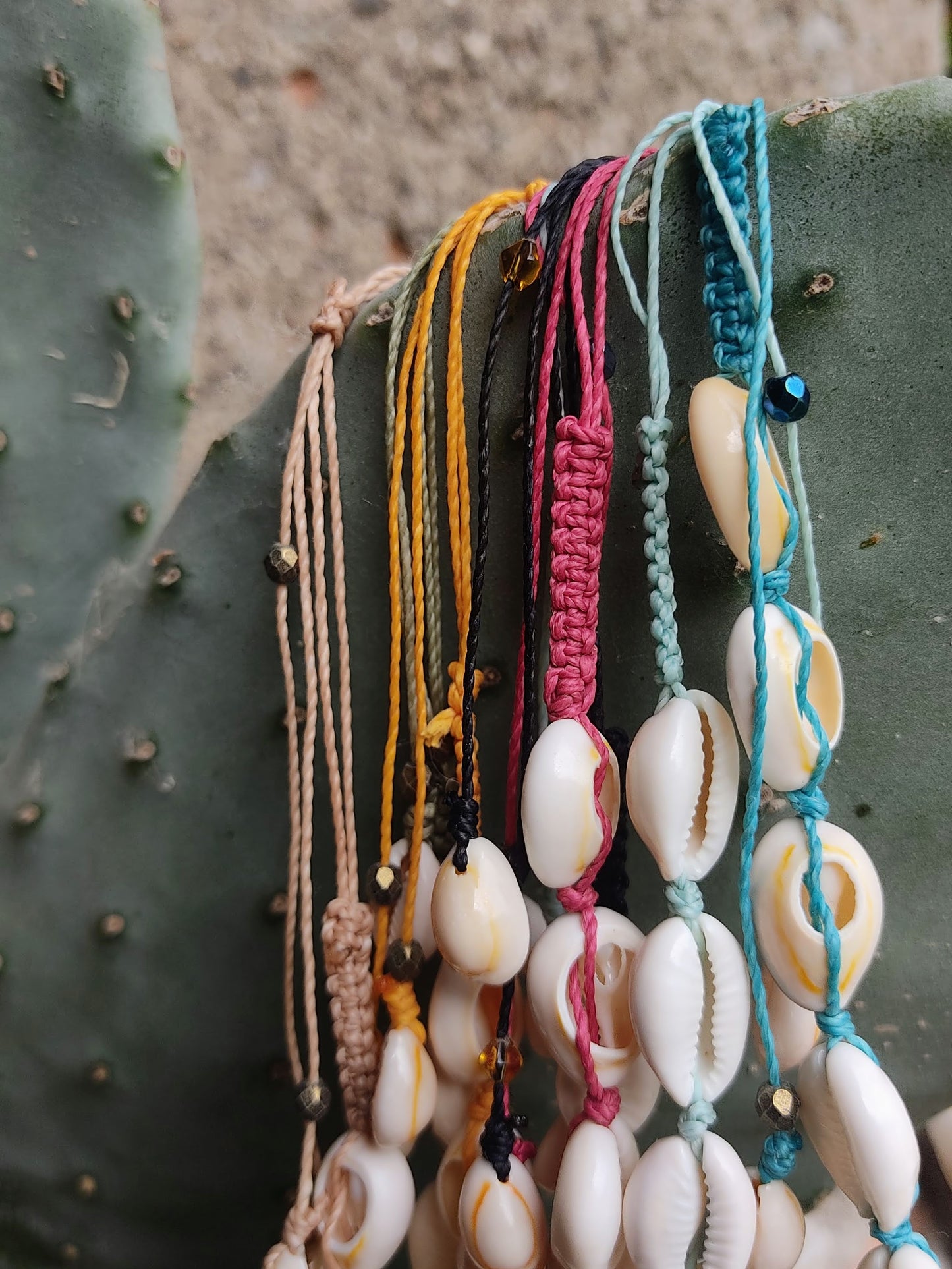 dettaglio collane conchiglie colori diversi sfondo cactus