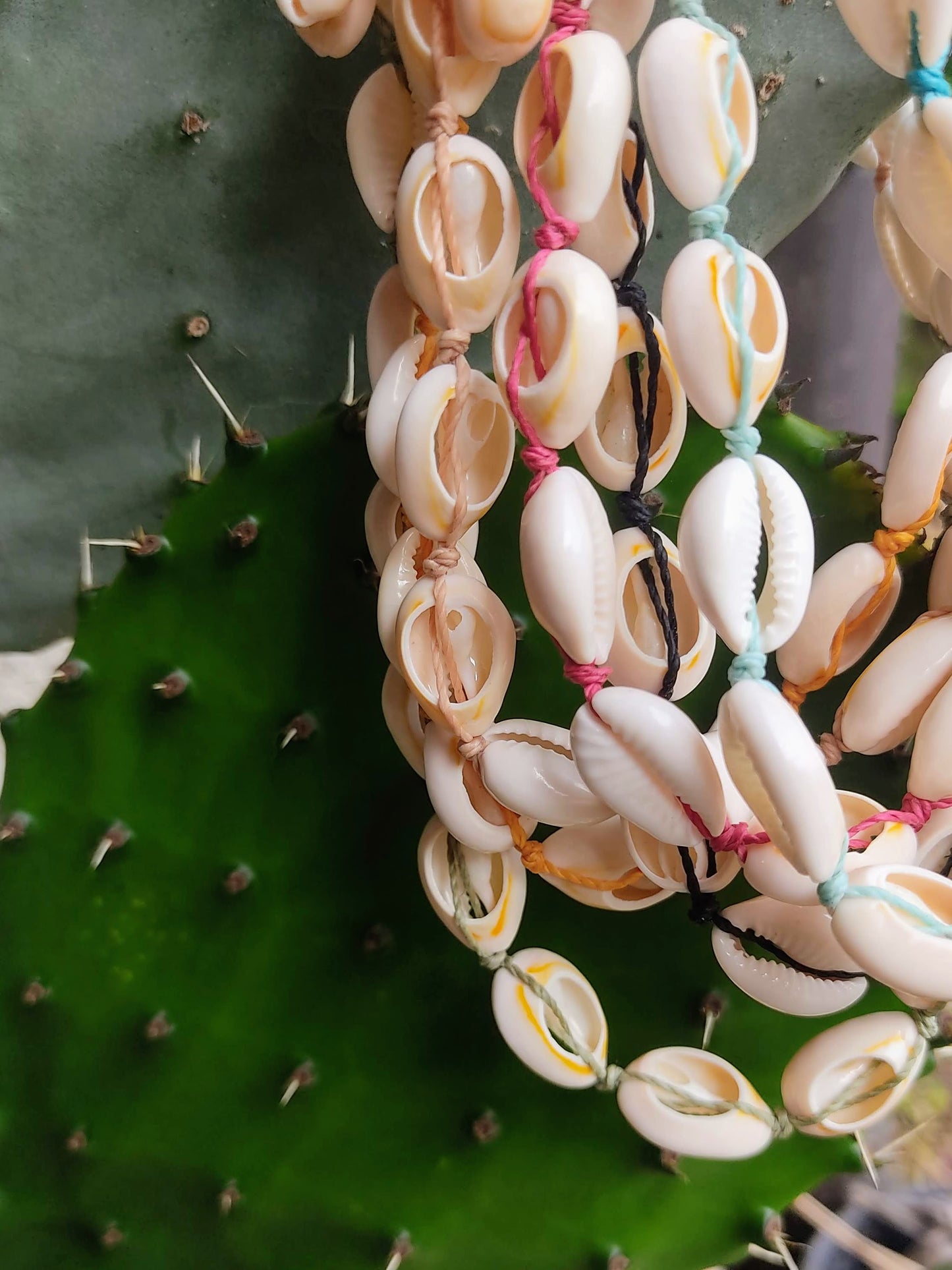 girocolli vari conchiglie di ciprea con sfondo cactus dettaglio
