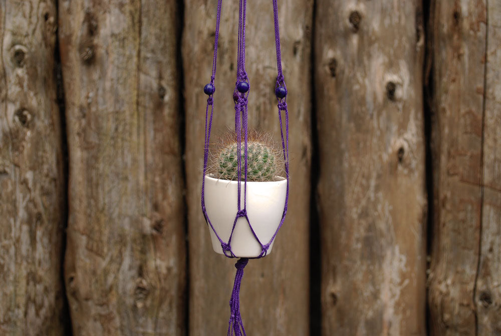 mini plant hanger viola 1 perla