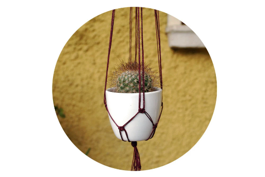 mini plant hanger melanzana