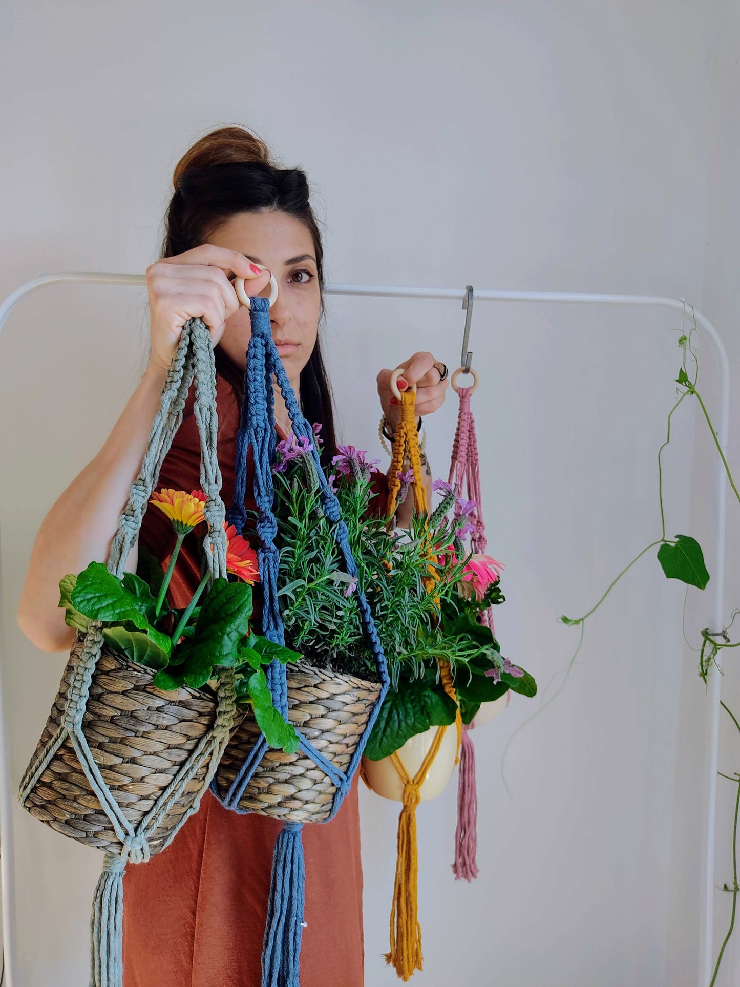 plant hanger veri grandezza naturale vasi medi