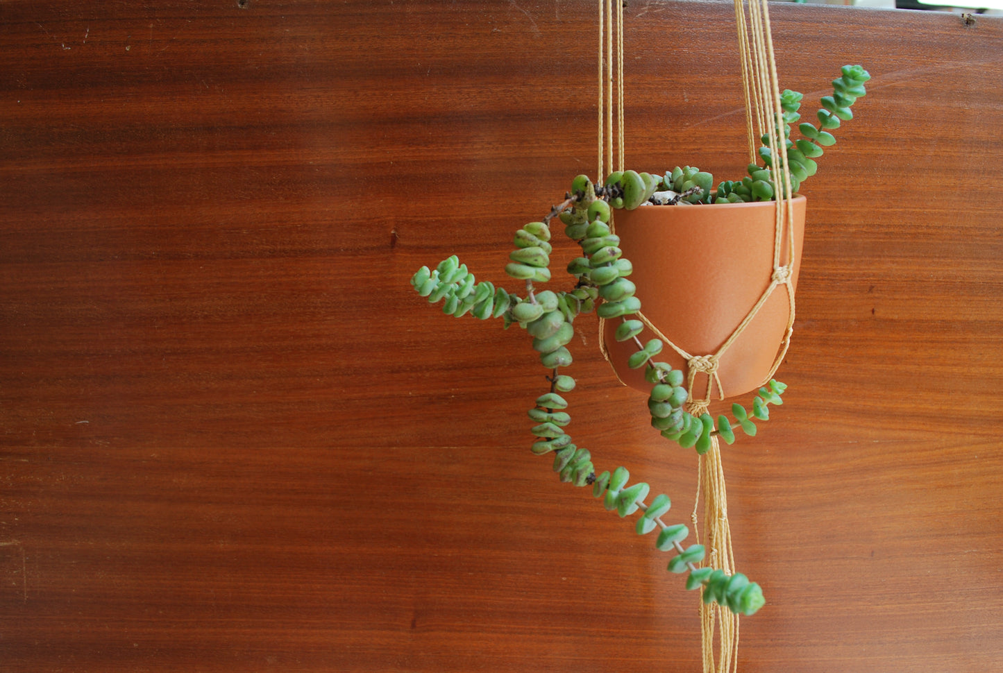 Mini sospensione collezione autunno (+ colori)