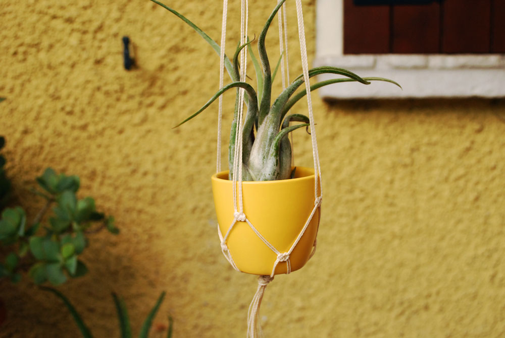 Mini plant hanger - spring collection (+ colors)