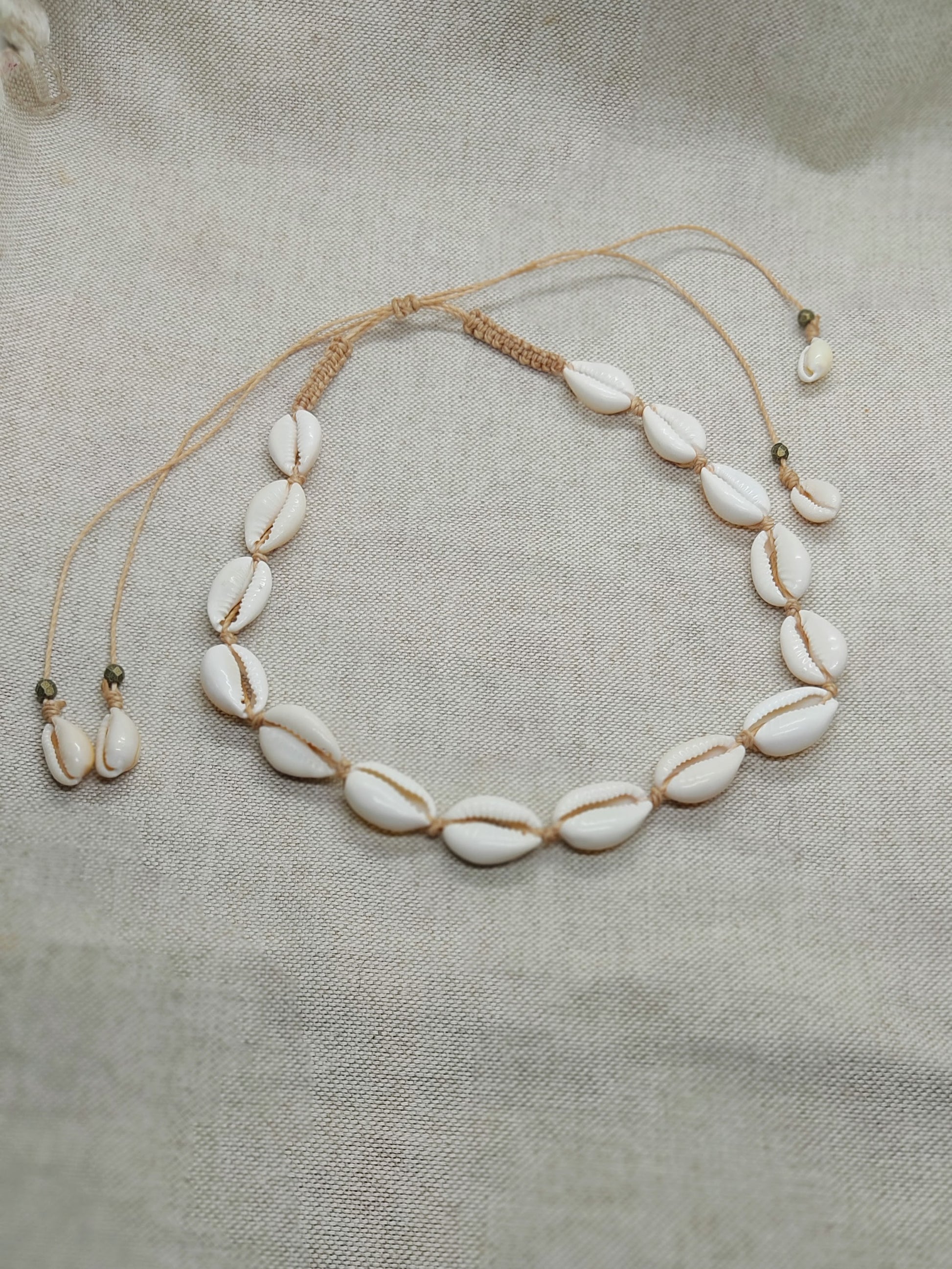 girocollo conchiglie di ciprea beige sfondo cactus