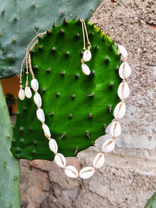 girocollo conchiglie di ciprea beige sfondo cactus