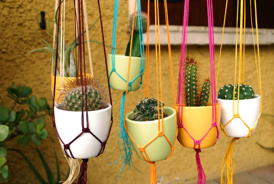 Mini plant hanger - spring collection (+ colors)