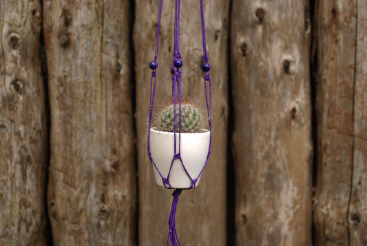 Mini macramé plant hanger with acai seeds (+ colors)