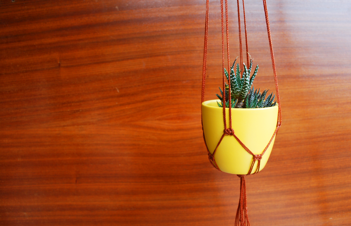 Mini plant hanger - autumn collection (+ colors)