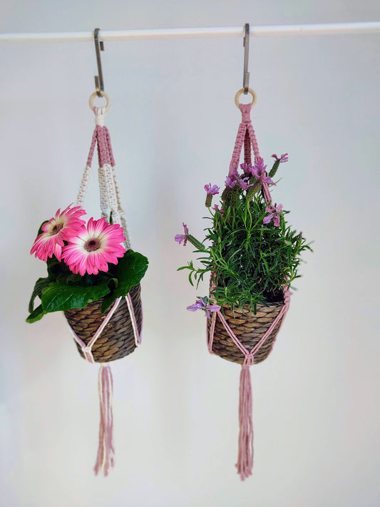 Sospensione per vasi in cotone mono/bicolore malva