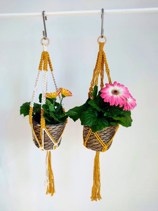 plant hanger in cotone modello base giallo senape